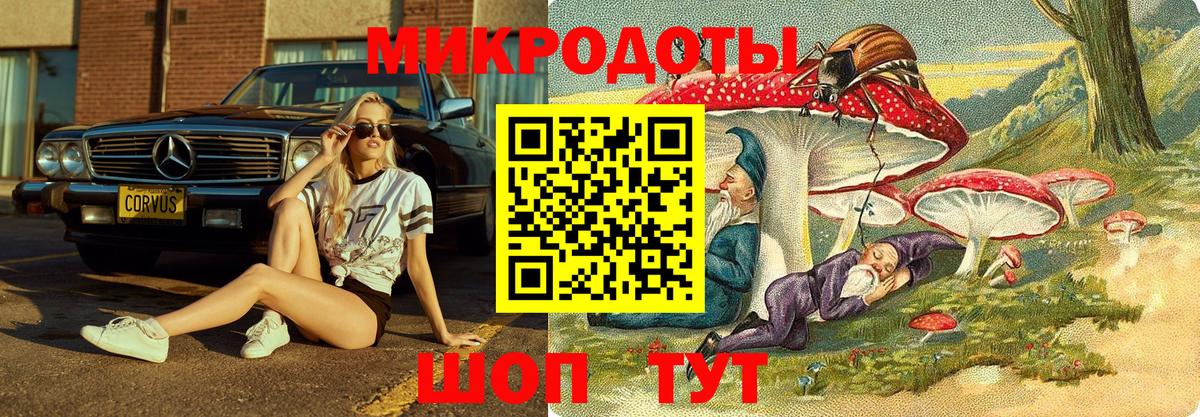 Галлюциногенные грибы Psilocybe Богородск