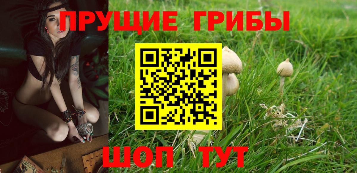 Богородск  Галлюциногенные грибы прущие грибы  Вход с VPN  Галлюциногенные грибы ЛСД 
